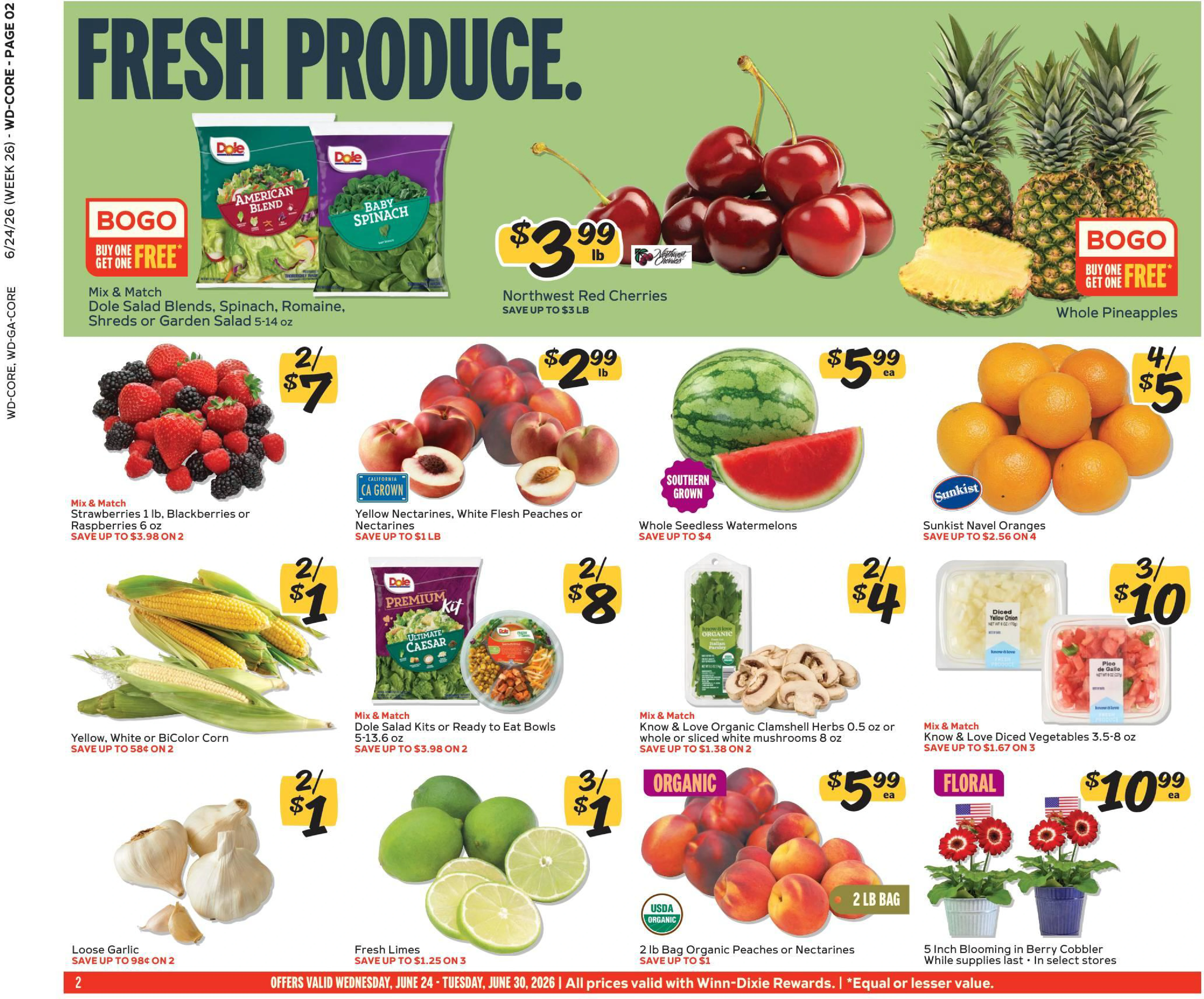 Flyer page 2
