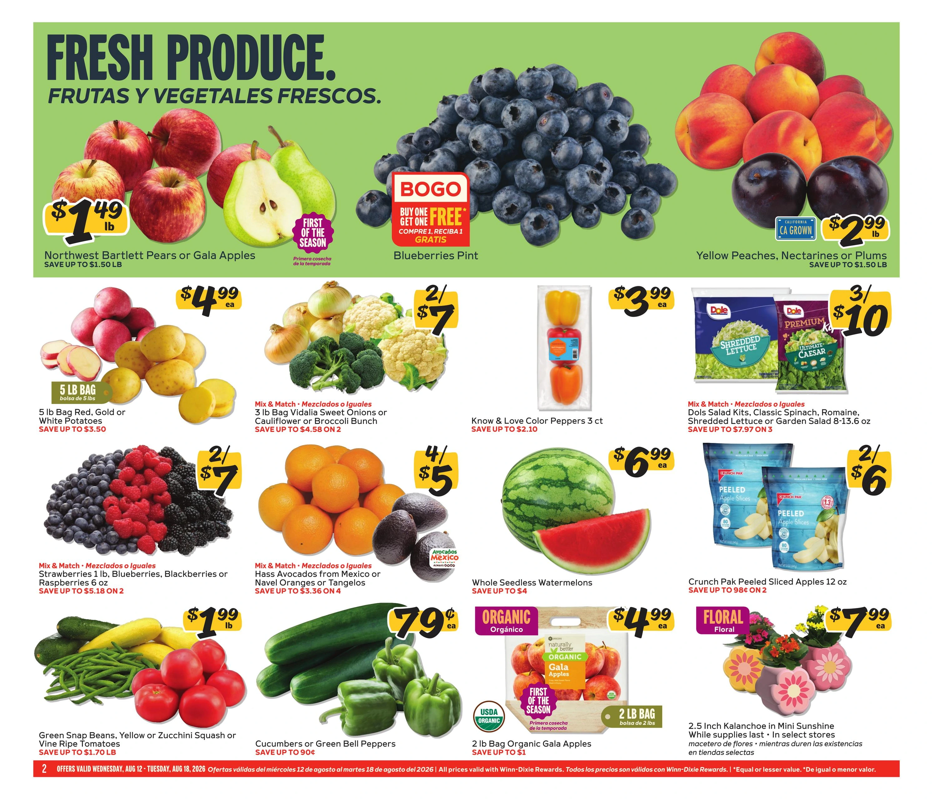 Flyer page 2